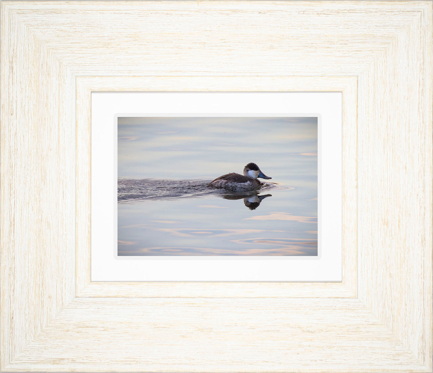 Swimming in a Mirror