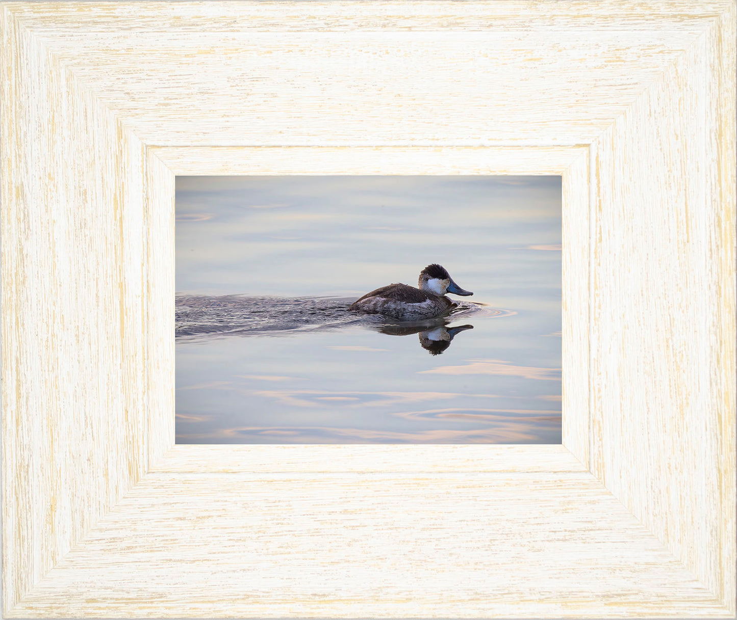 Swimming in a Mirror