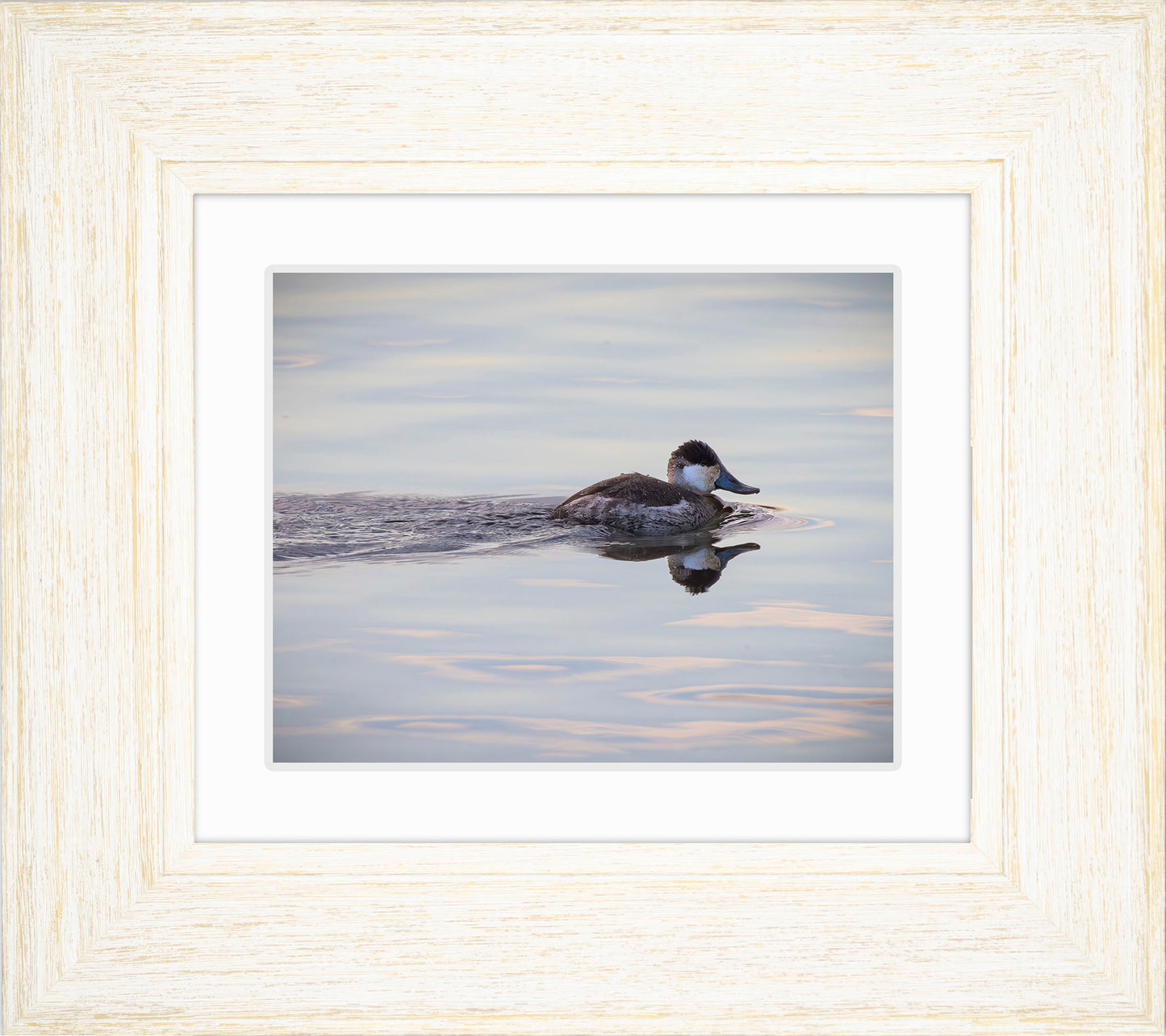 Swimming in a Mirror