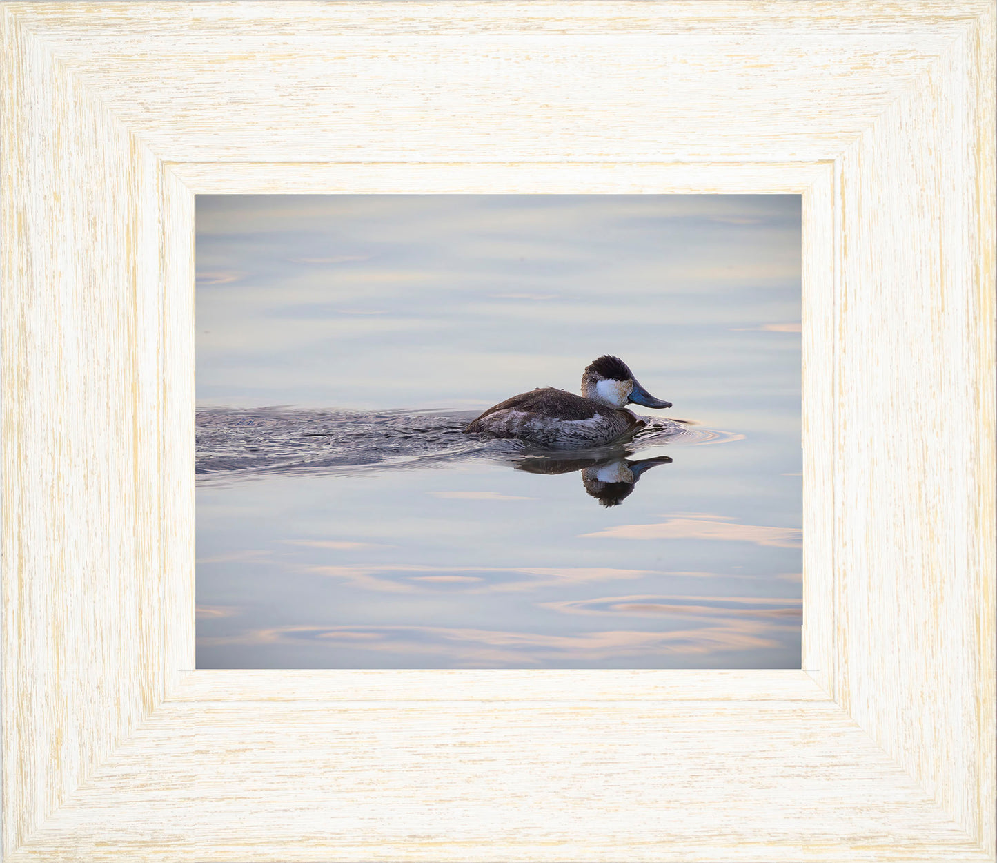 Swimming in a Mirror