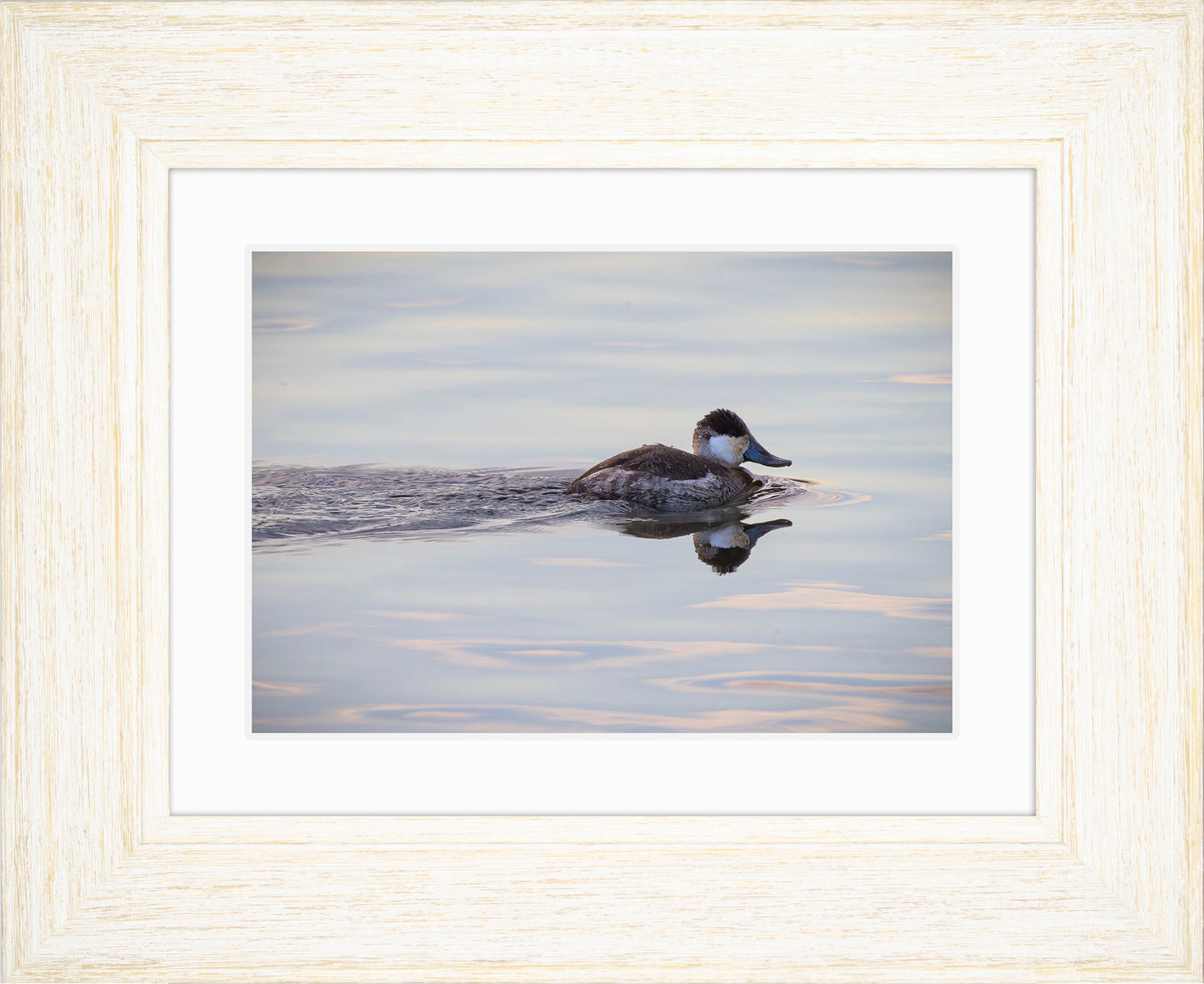 Swimming in a Mirror