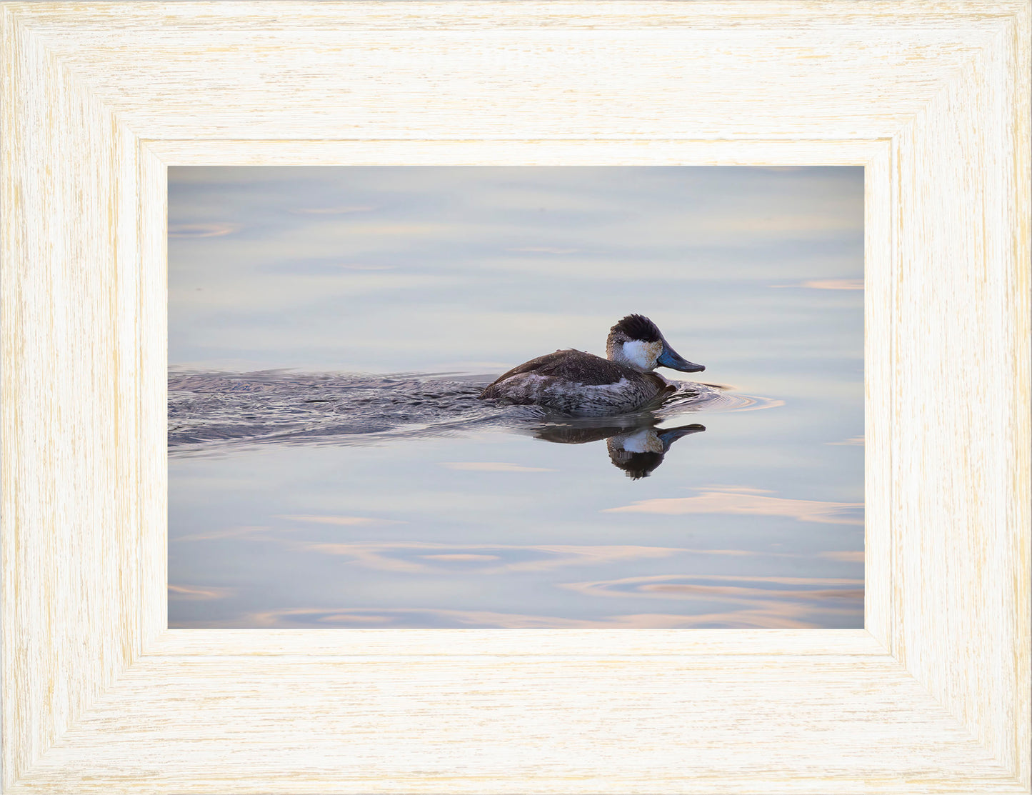 Swimming in a Mirror