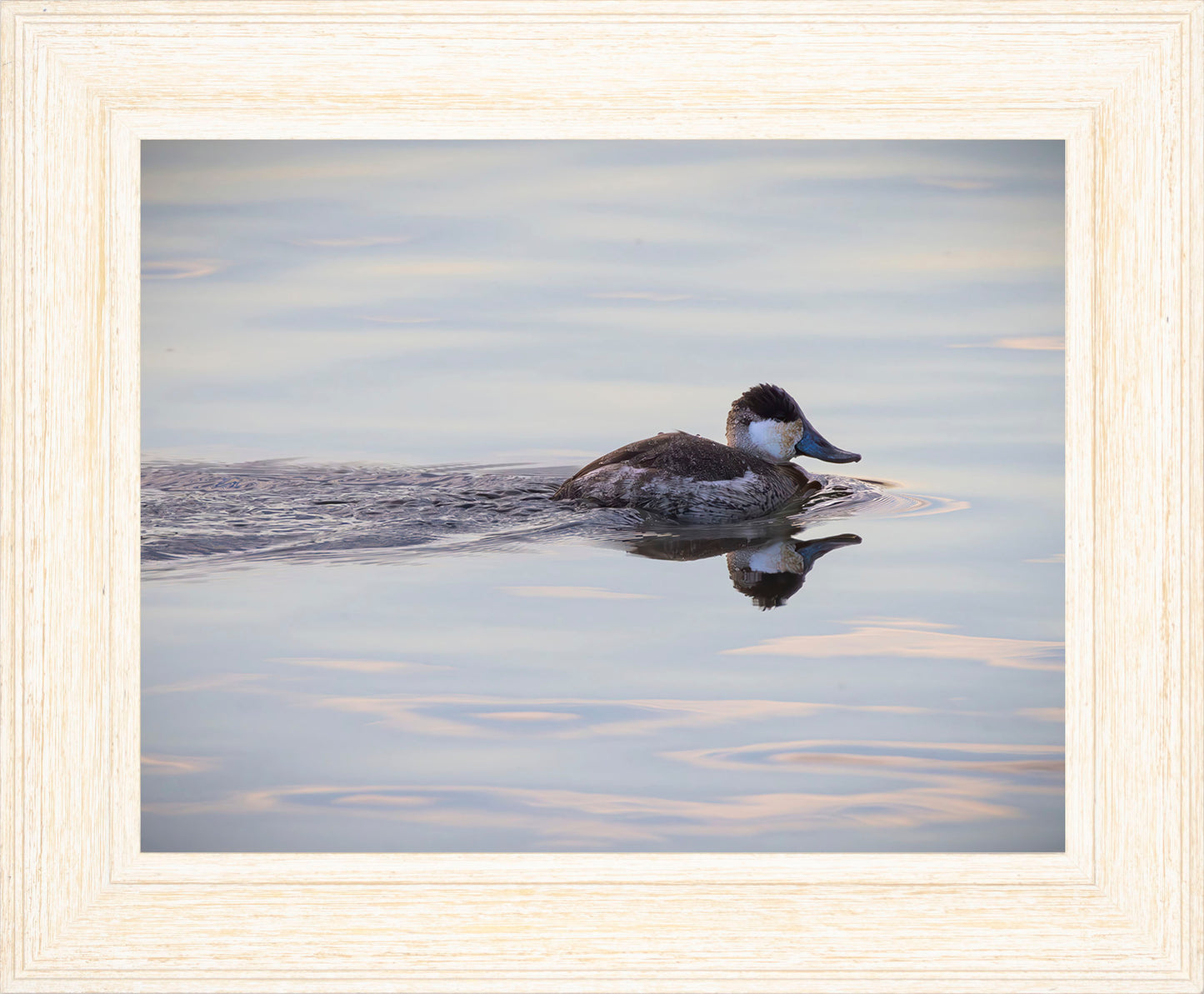Swimming in a Mirror