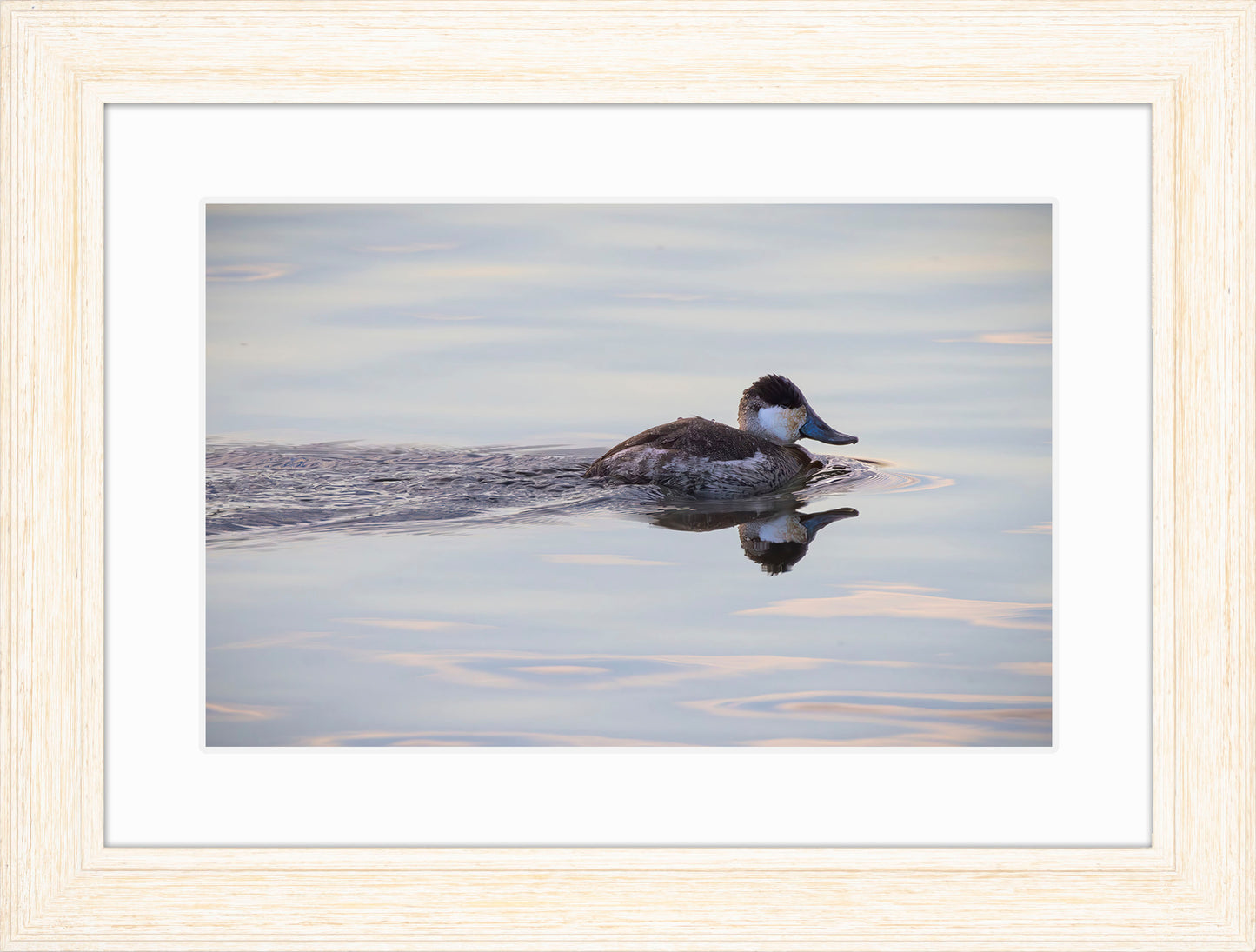 Swimming in a Mirror