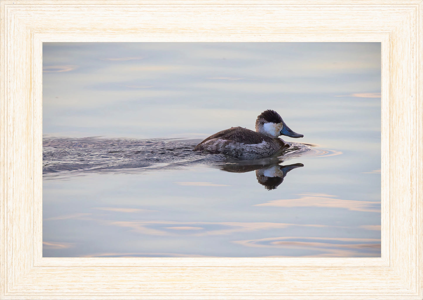 Swimming in a Mirror