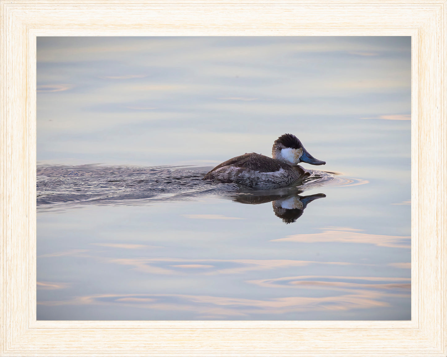 Swimming in a Mirror