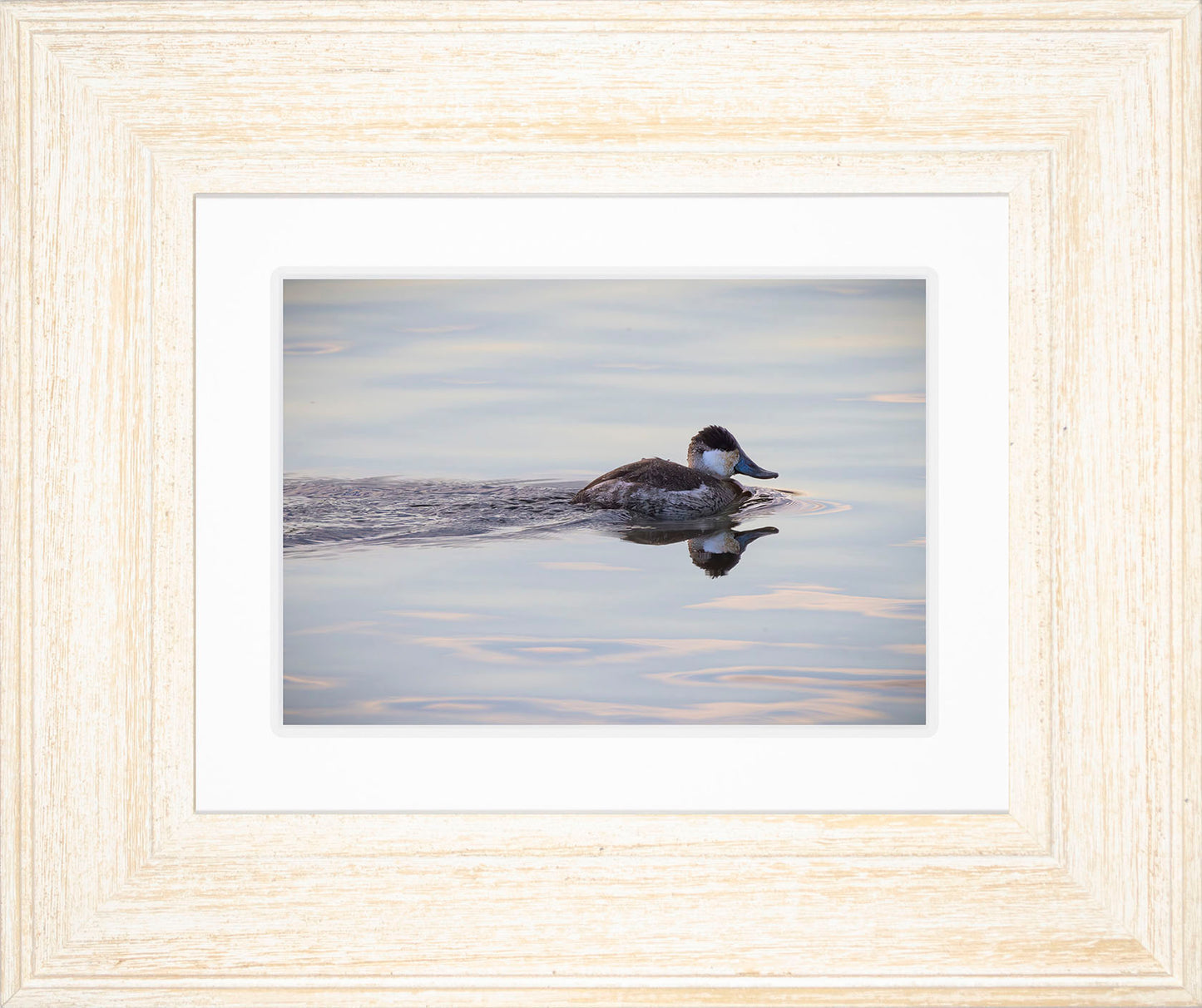 Swimming in a Mirror