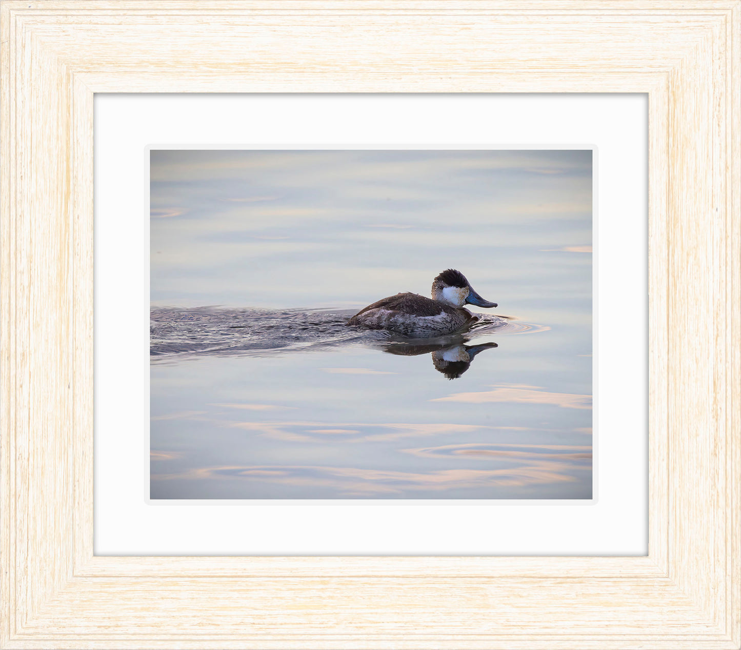 Swimming in a Mirror