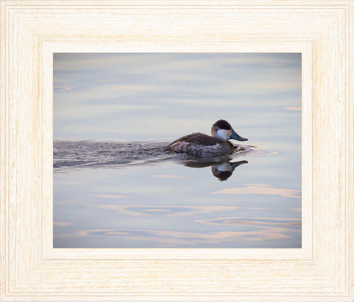 Swimming in a Mirror