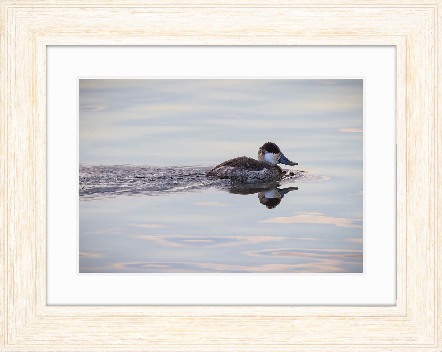 Swimming in a Mirror