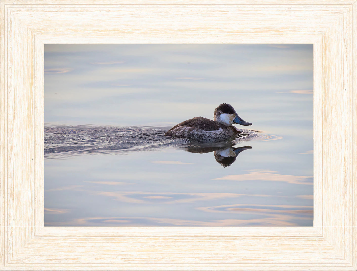 Swimming in a Mirror