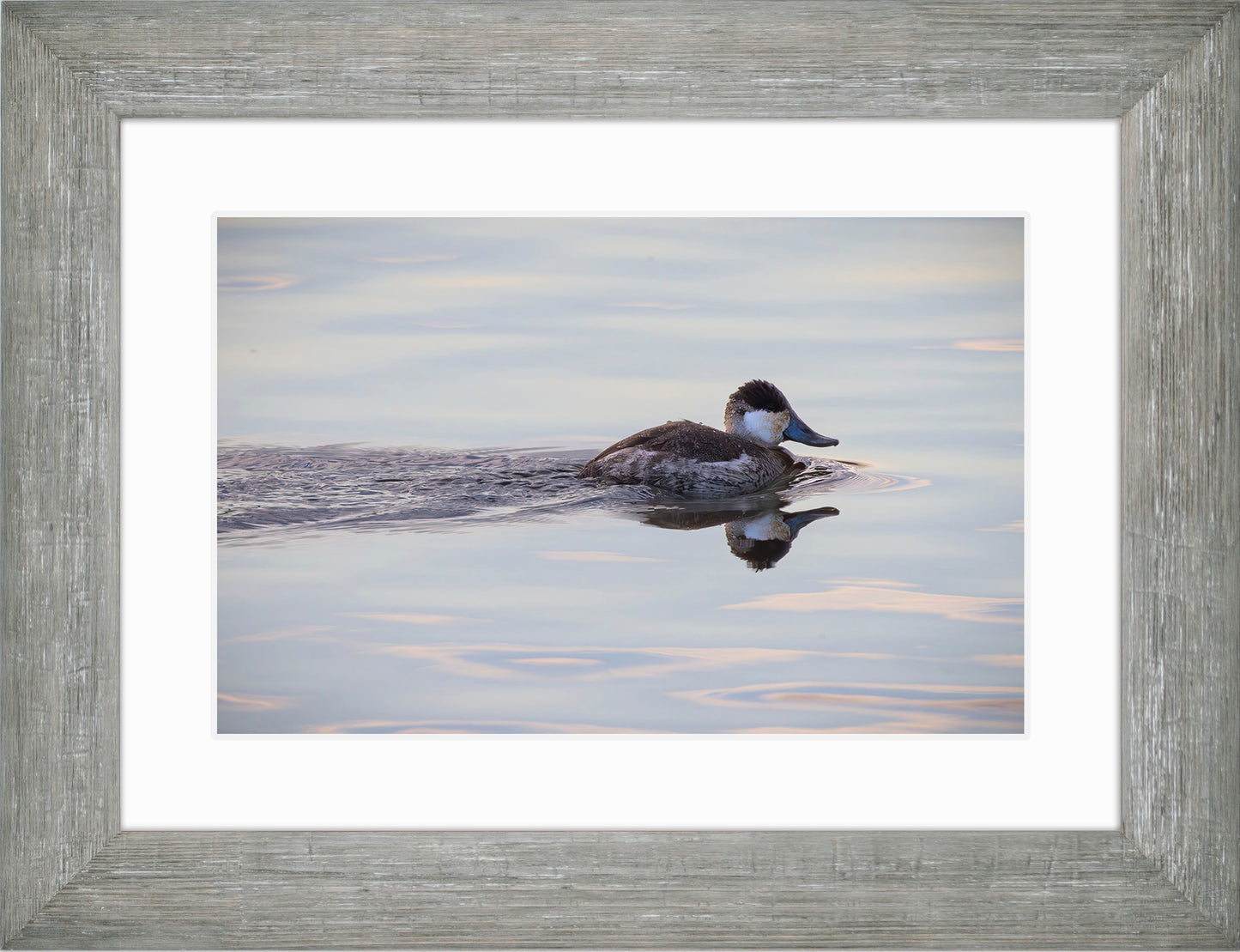 Swimming in a Mirror