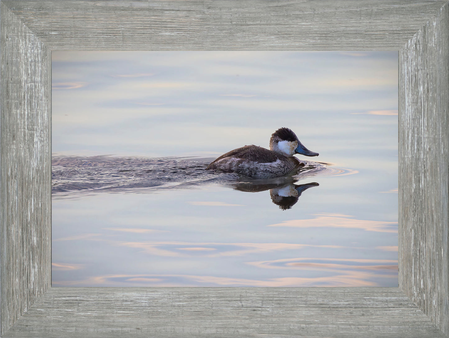Swimming in a Mirror