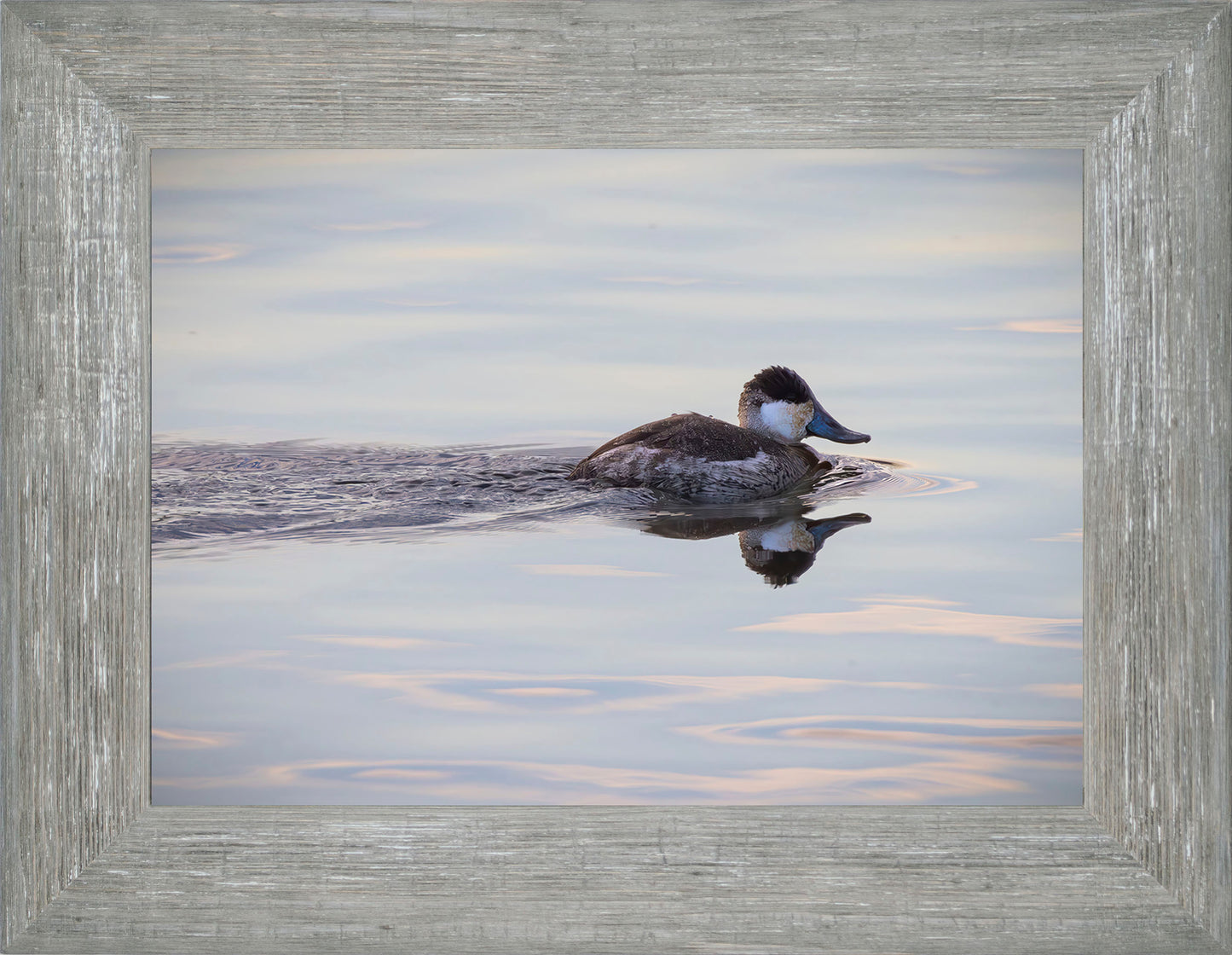 Swimming in a Mirror