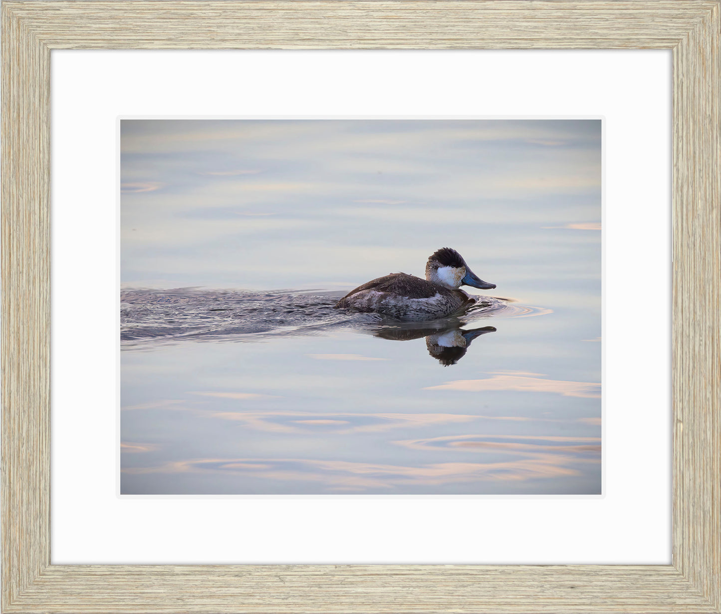 Swimming in a Mirror