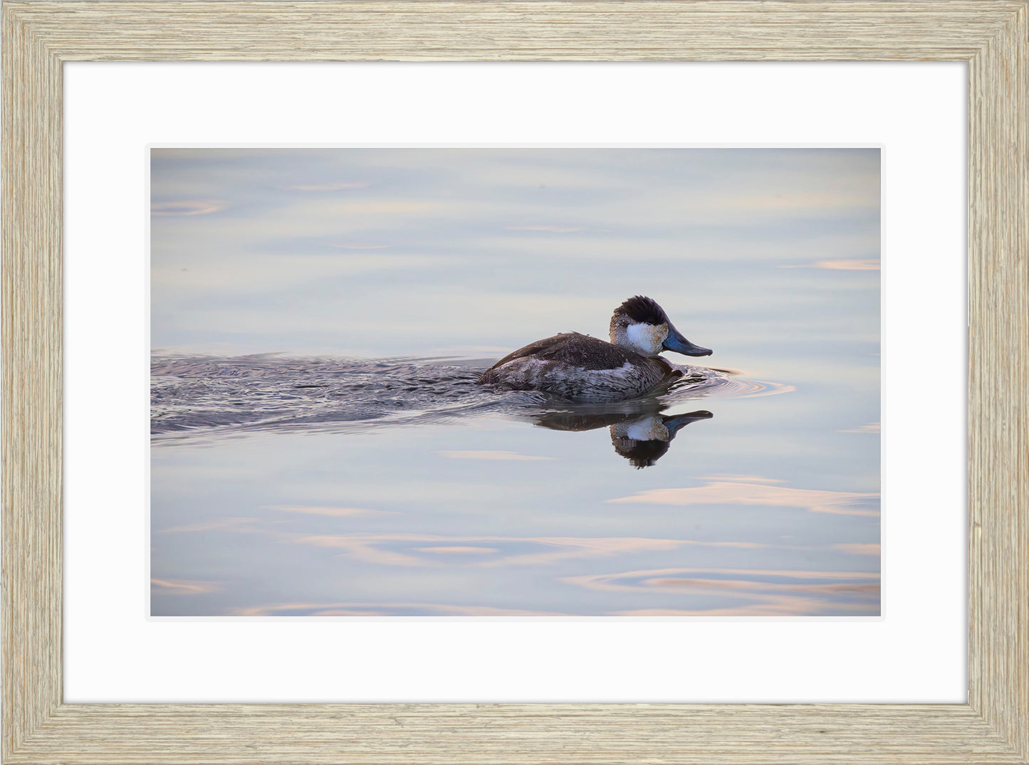 Swimming in a Mirror