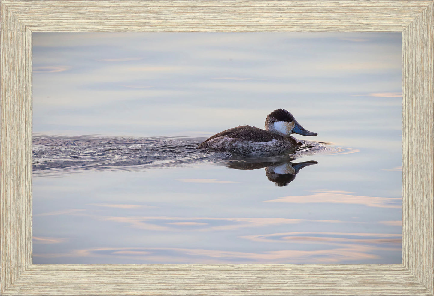 Swimming in a Mirror