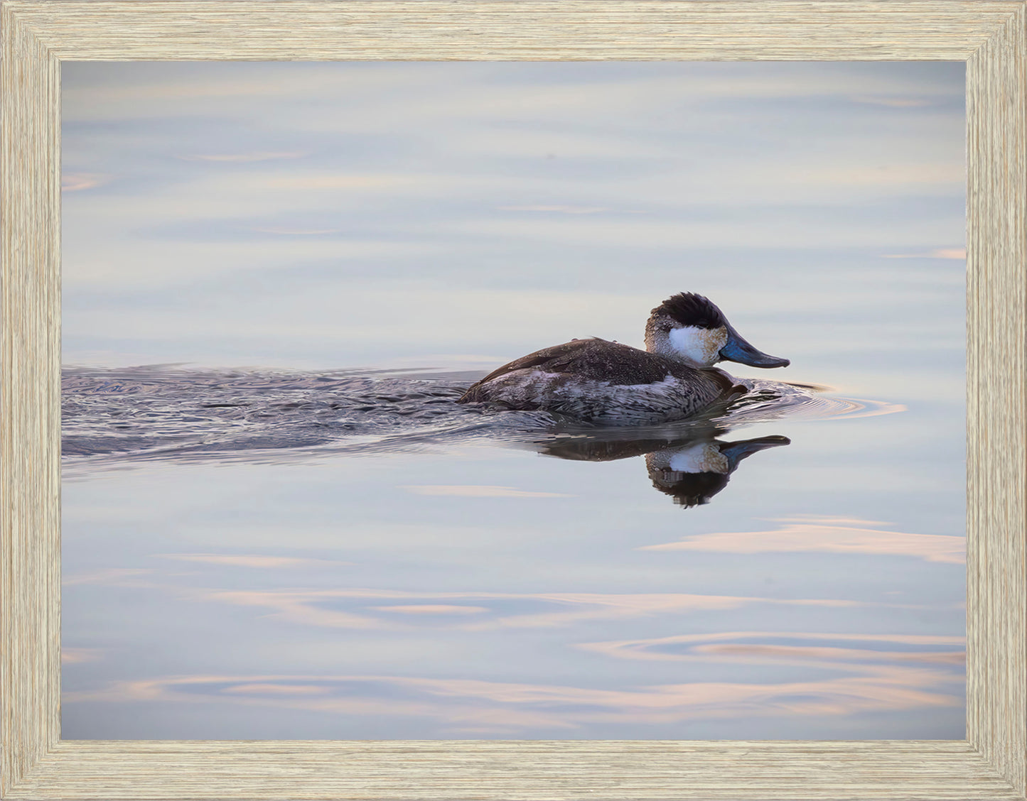 Swimming in a Mirror