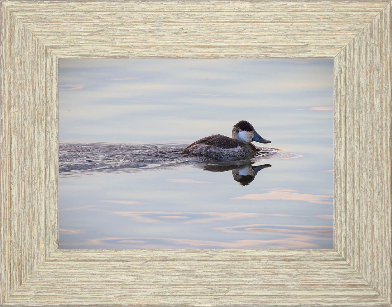 Swimming in a Mirror