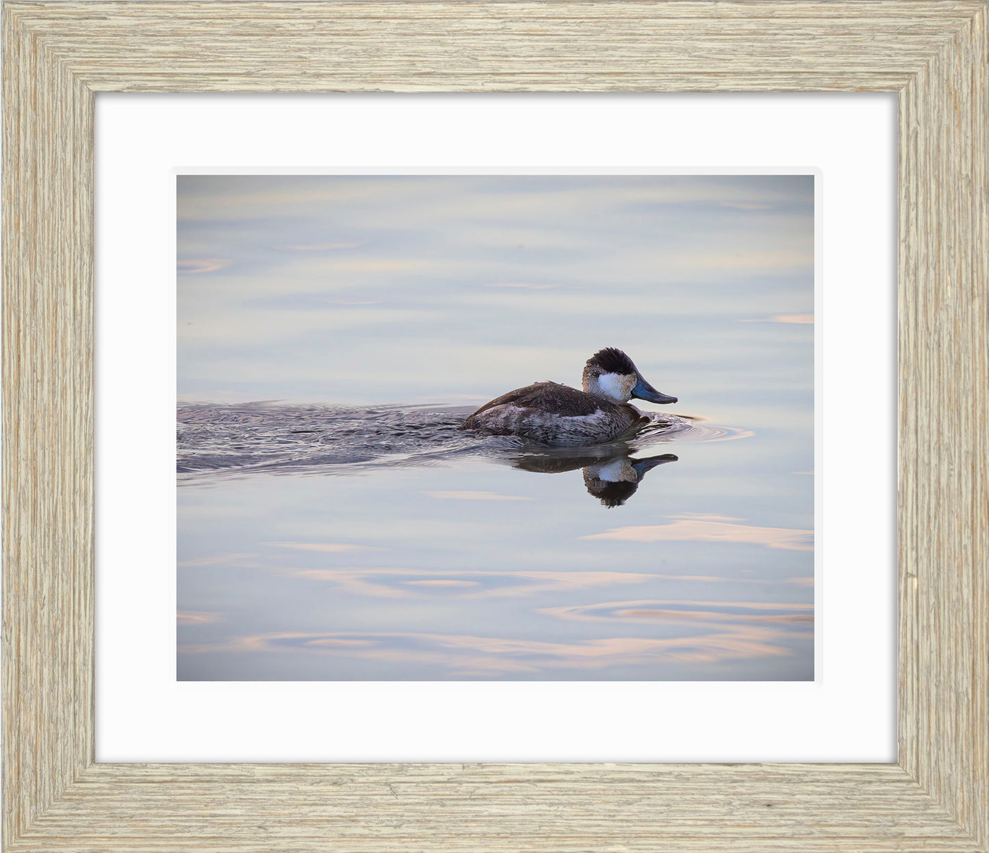 Swimming in a Mirror