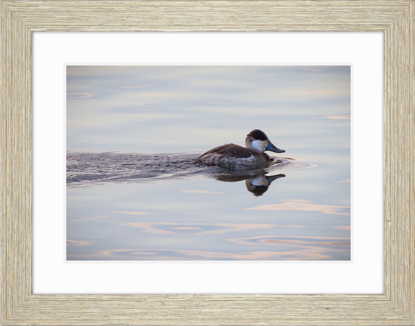 Swimming in a Mirror