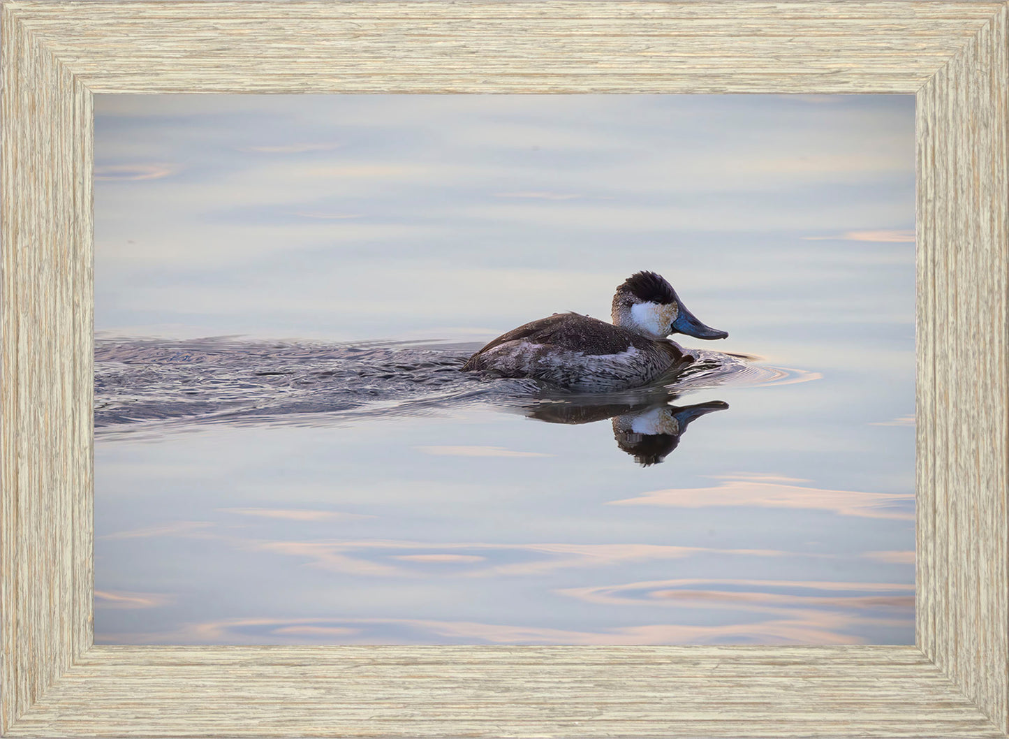 Swimming in a Mirror