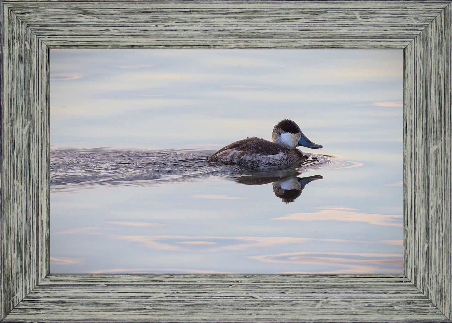 Swimming in a Mirror