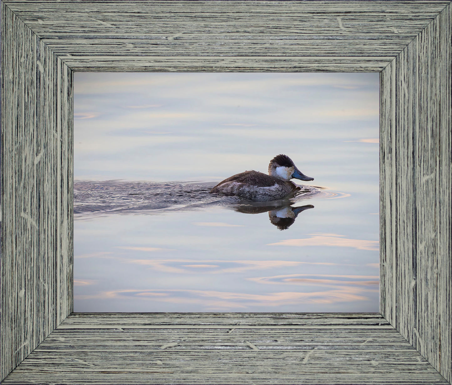 Swimming in a Mirror