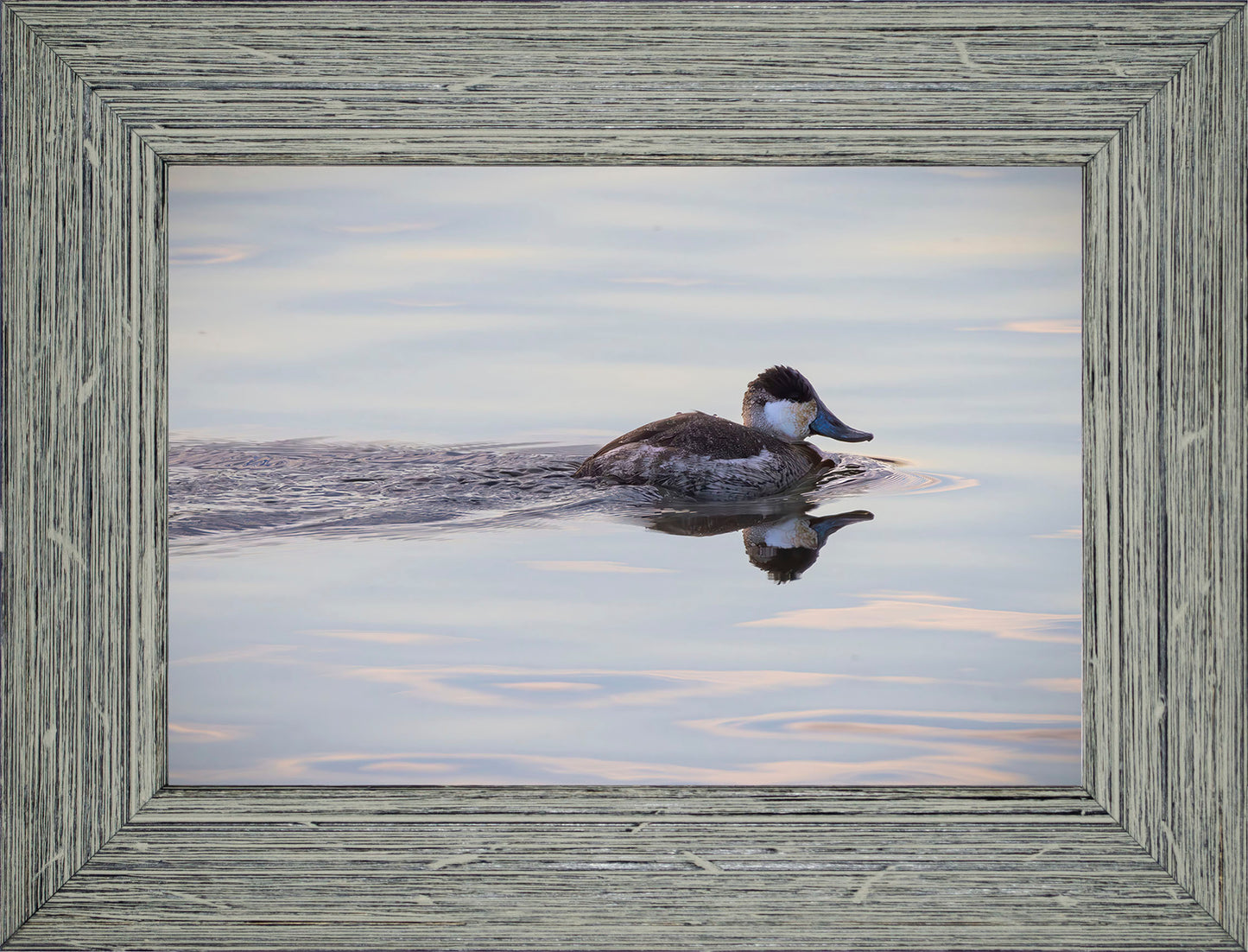 Swimming in a Mirror