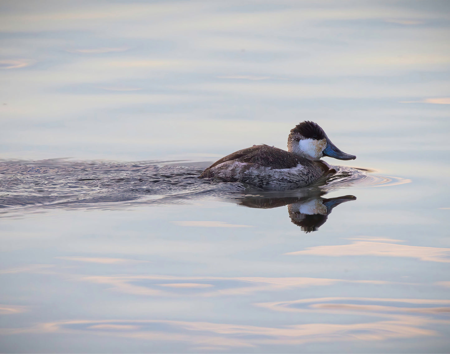 Swimming in a Mirror