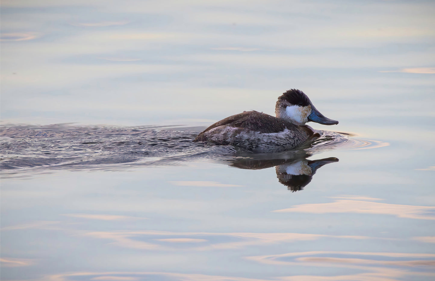 Swimming in a Mirror