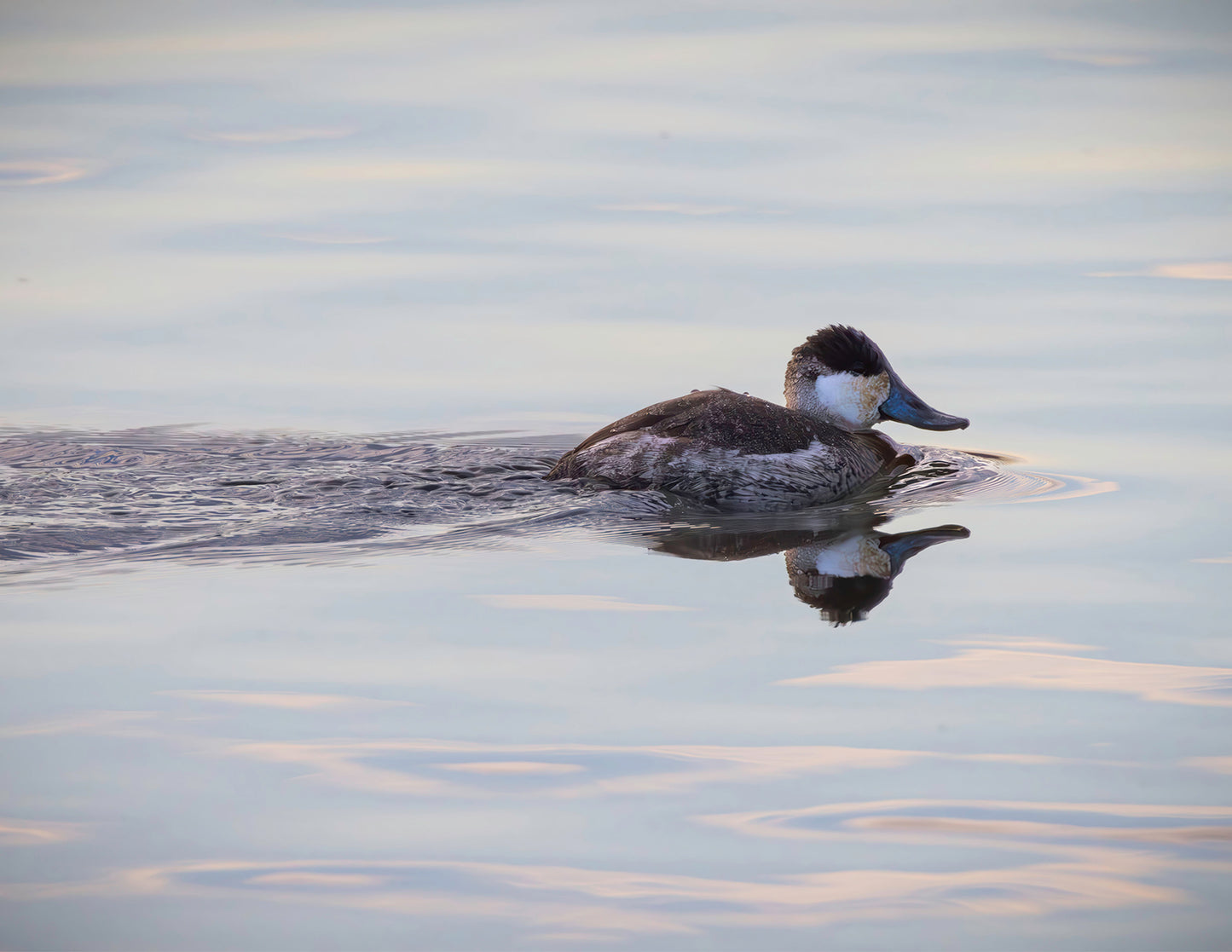 Swimming in a Mirror -- HD Metal