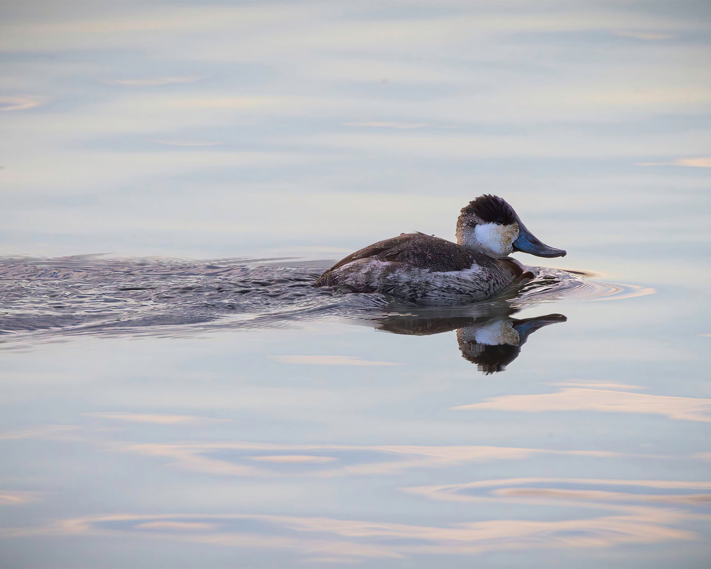 Swimming in a Mirror