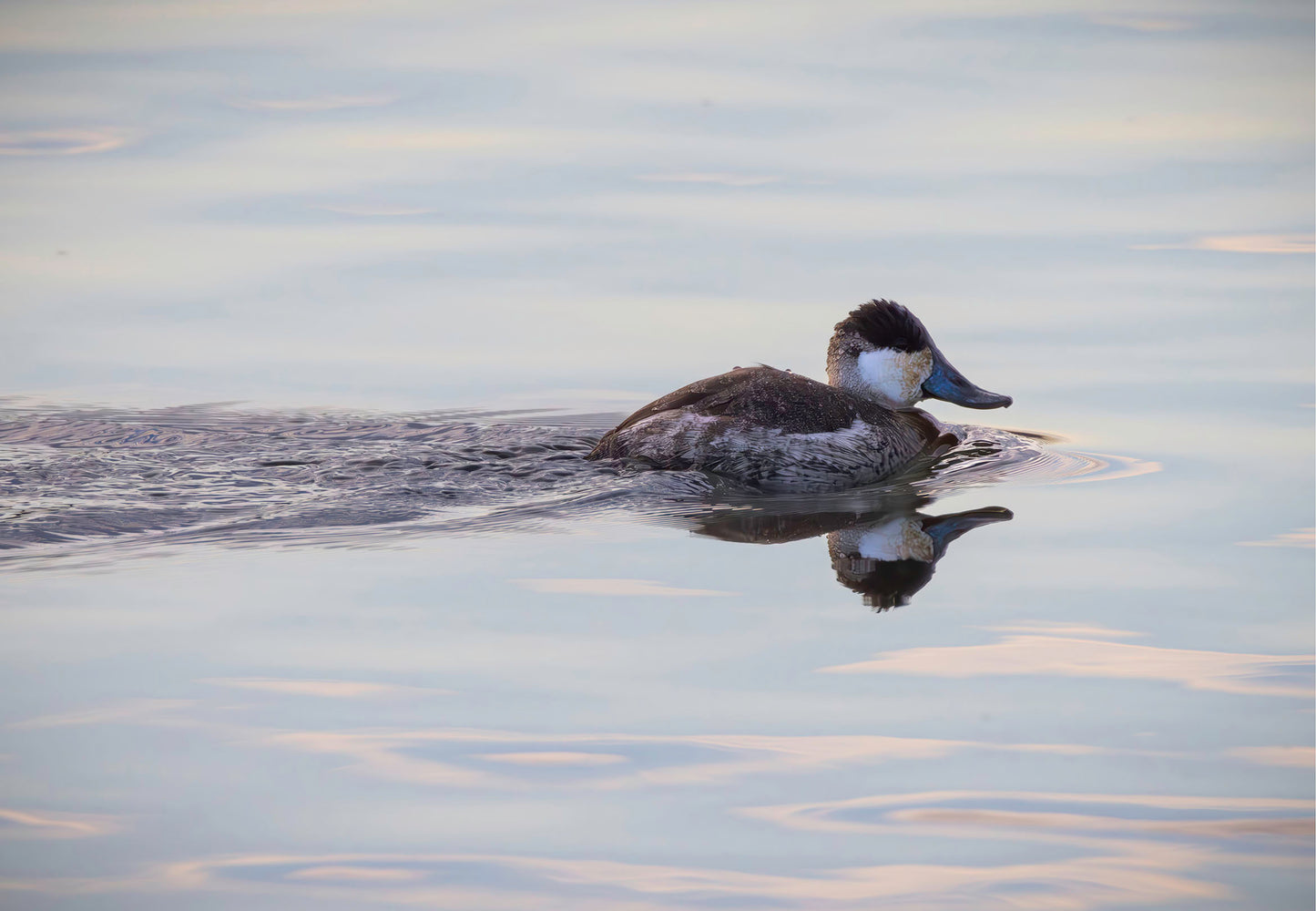 Swimming in a Mirror