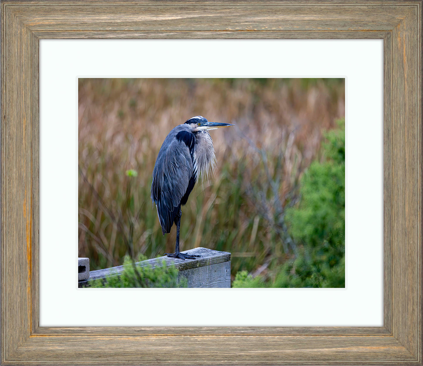 The Morning Watch -- Digital Print