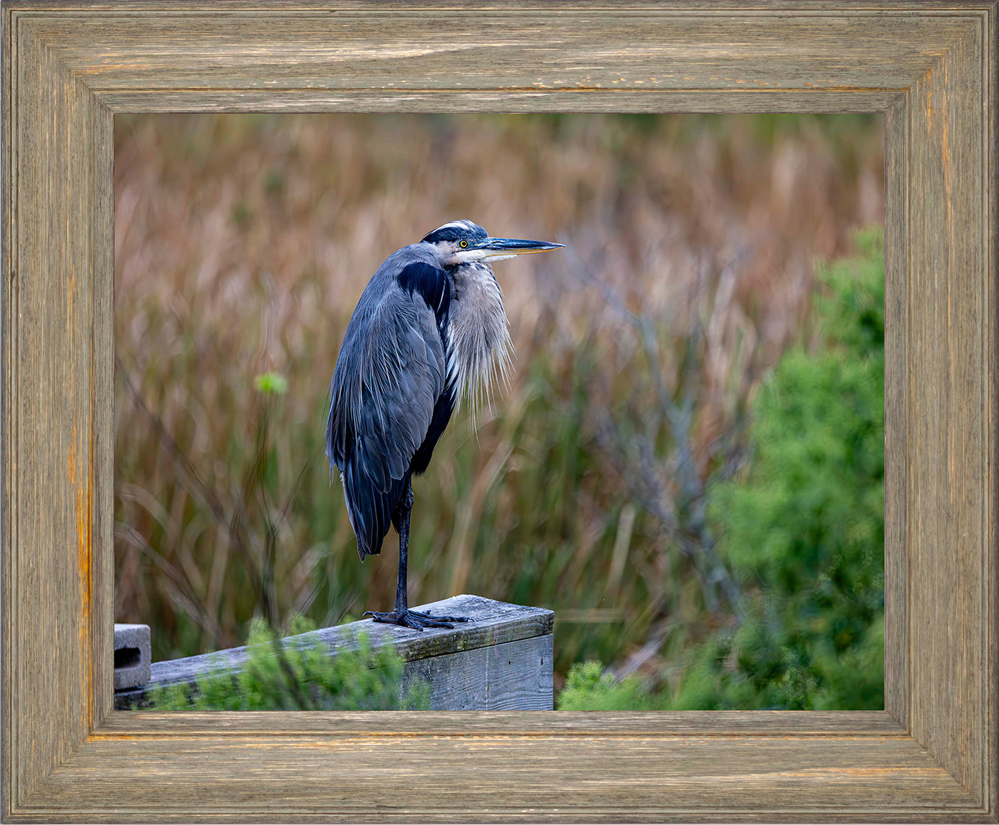 The Morning Watch -- Digital Print