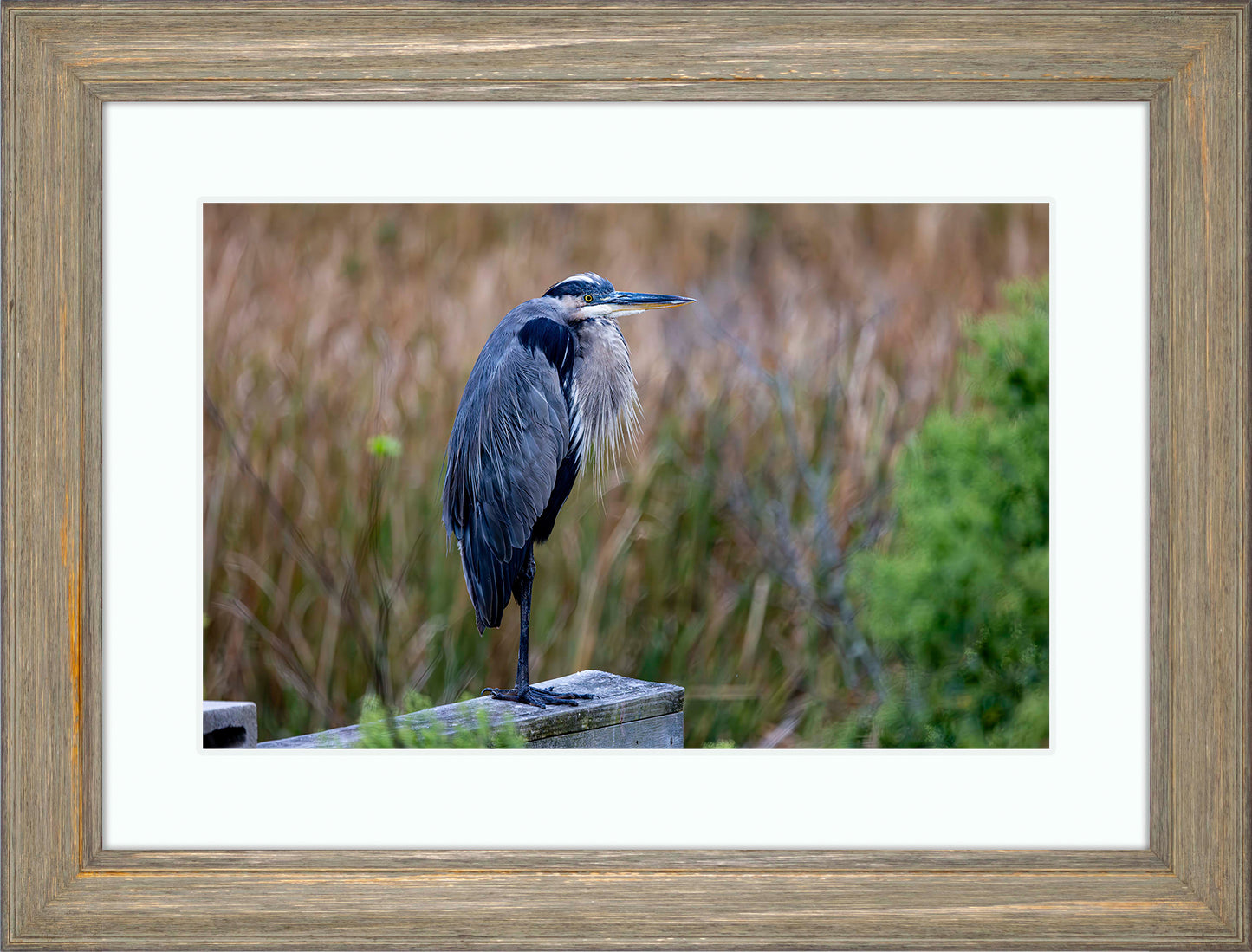 The Morning Watch -- Digital Print