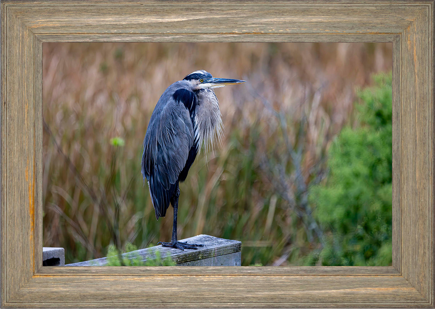 The Morning Watch -- Digital Print