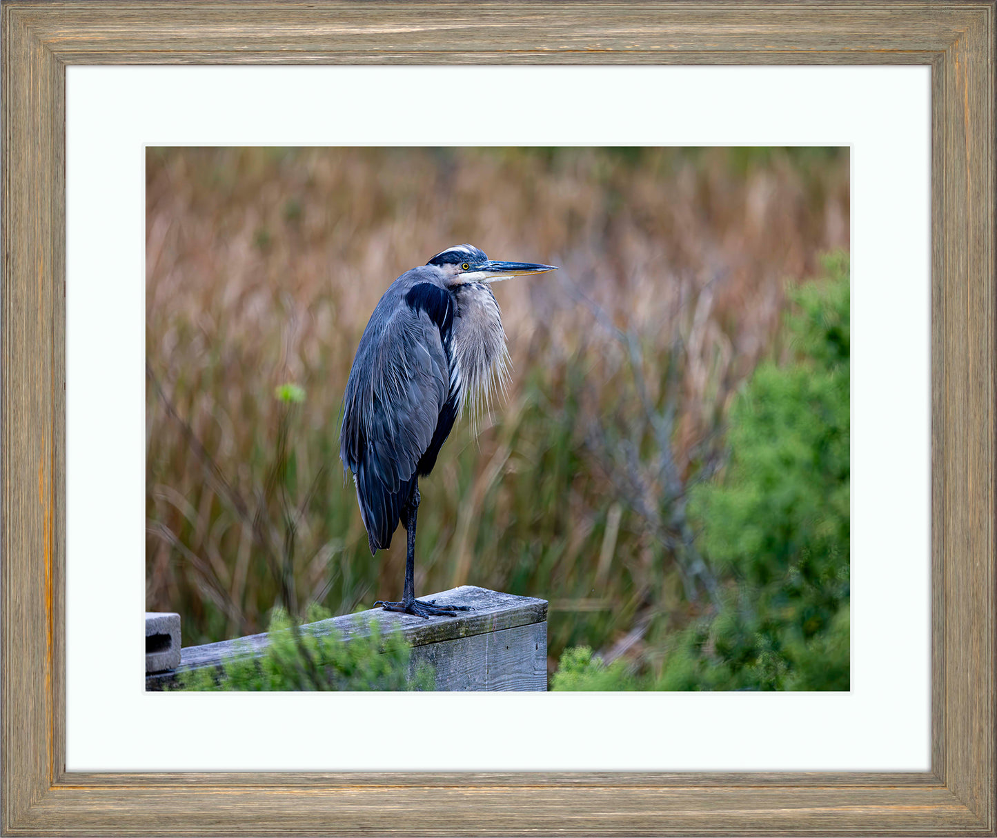 The Morning Watch -- Digital Print