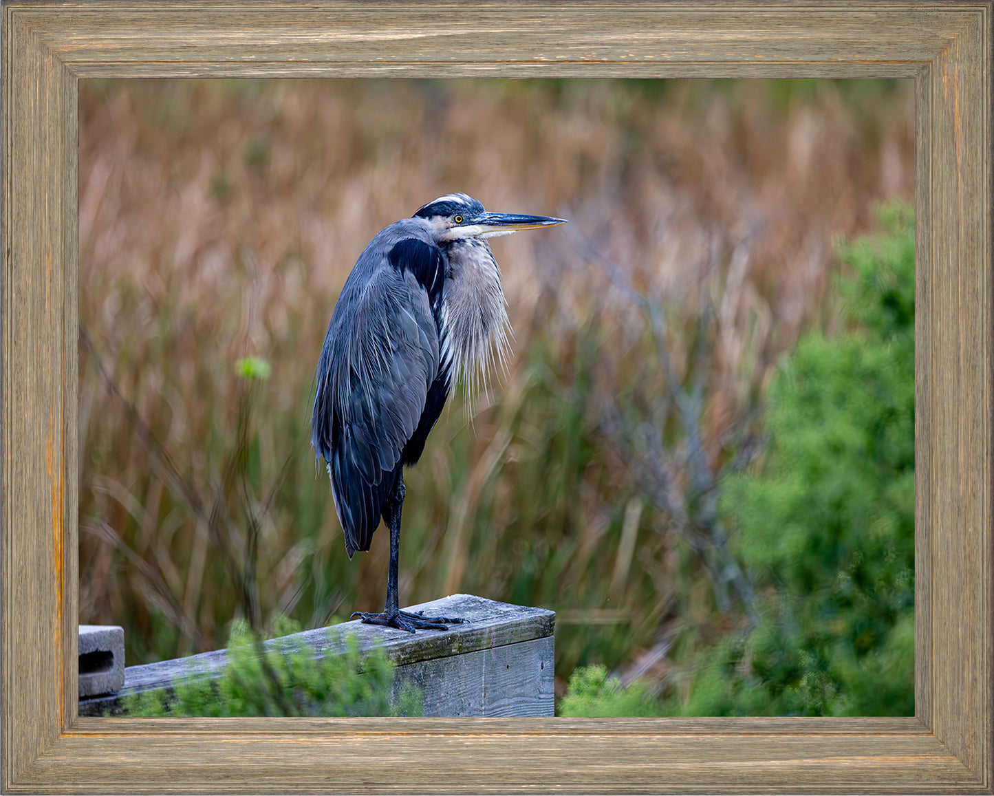 The Morning Watch -- Digital Print