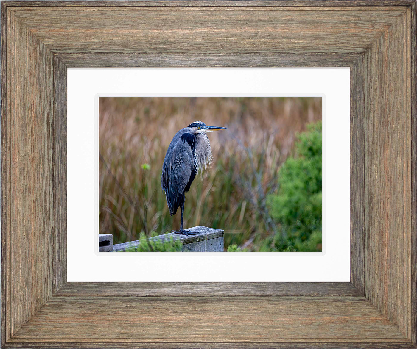 The Morning Watch -- Digital Print