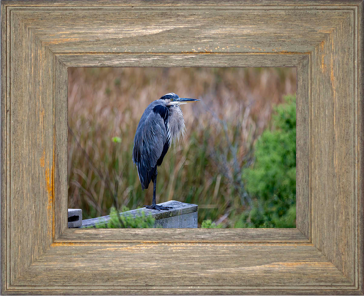 The Morning Watch -- Digital Print