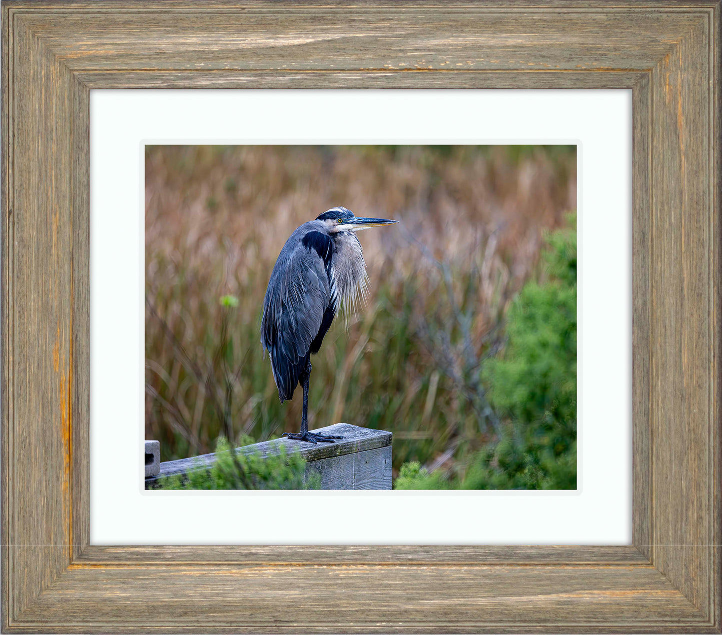 The Morning Watch -- Digital Print