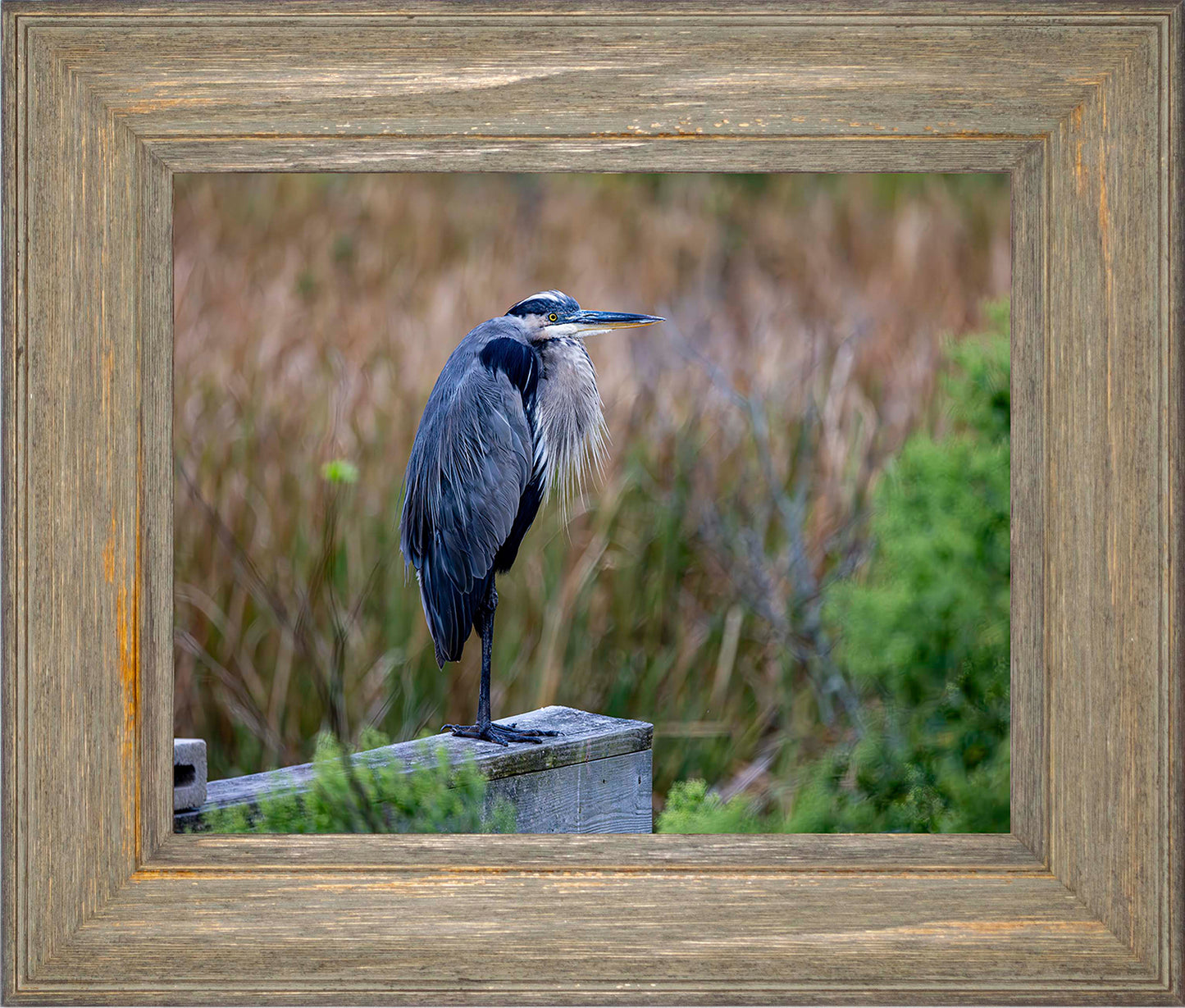 The Morning Watch -- Digital Print