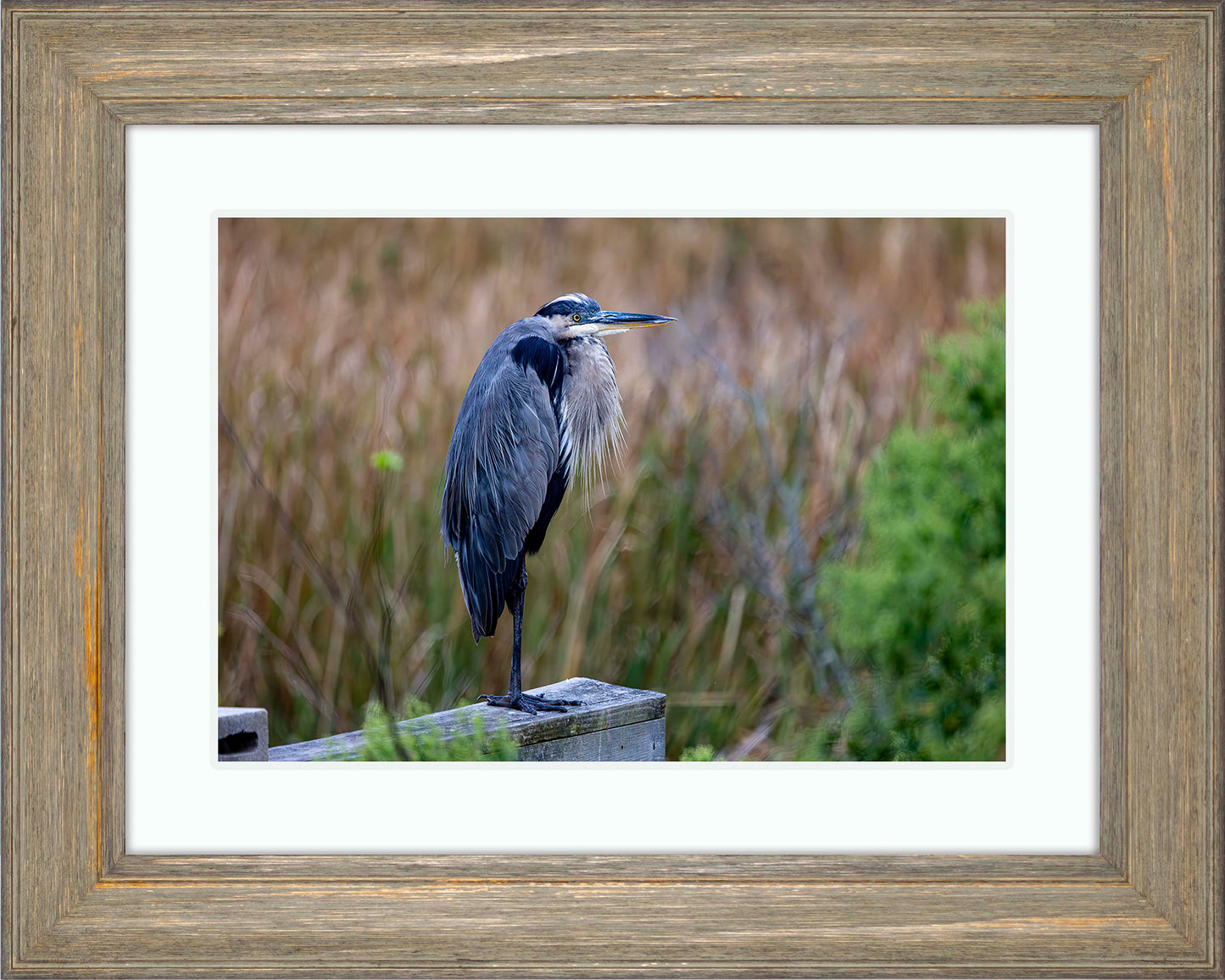 The Morning Watch -- Digital Print