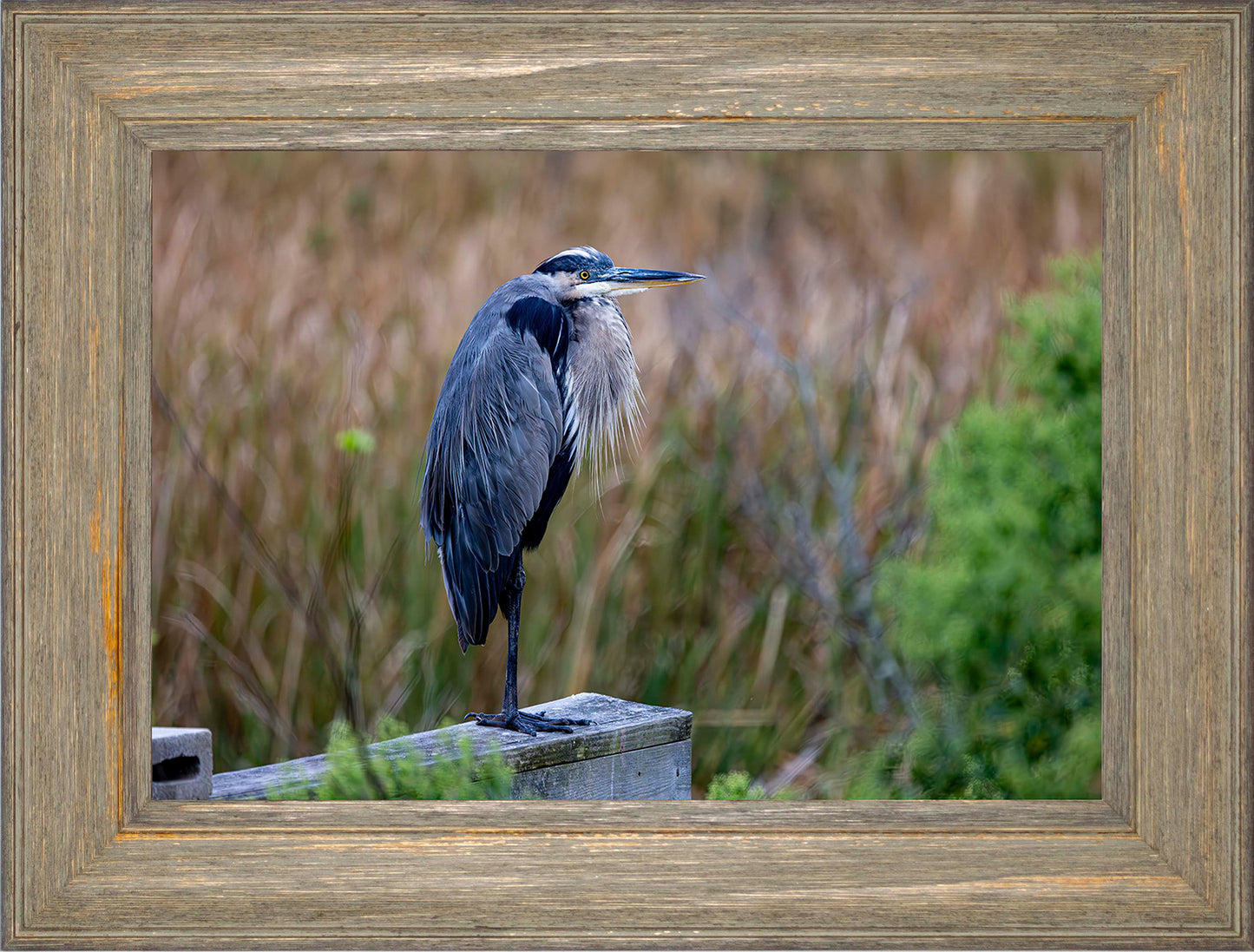 The Morning Watch -- Digital Print