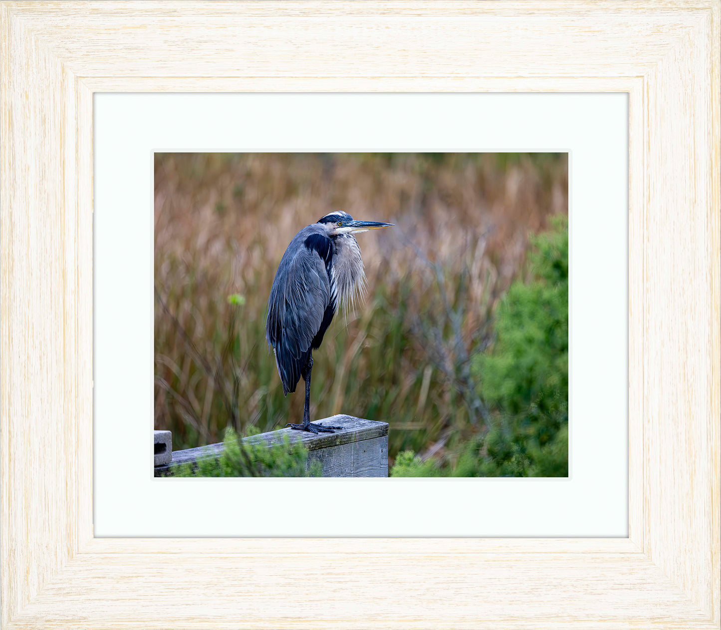 The Morning Watch -- Digital Print