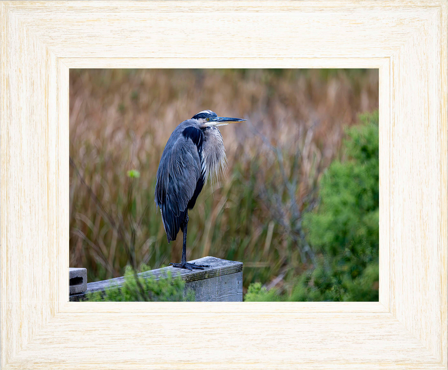 The Morning Watch -- Digital Print