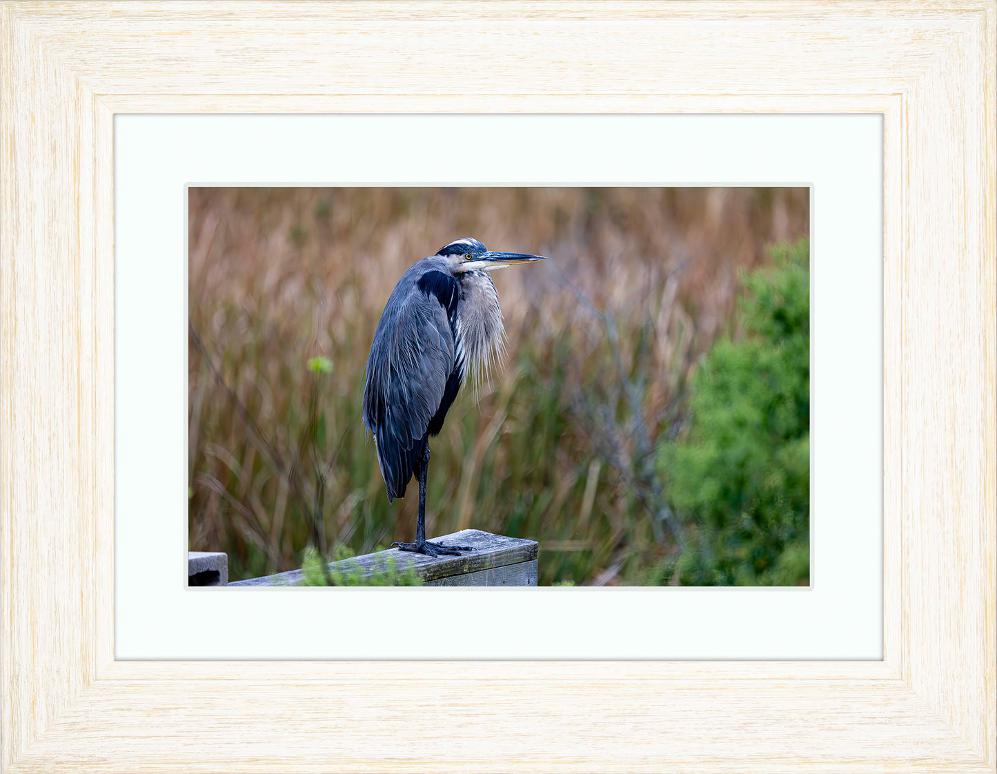 The Morning Watch -- Digital Print