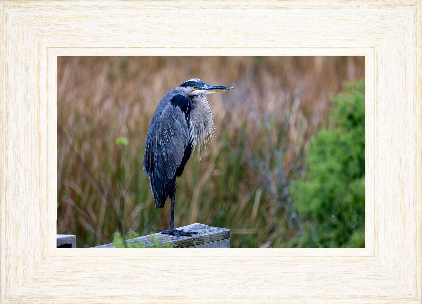 The Morning Watch -- Digital Print